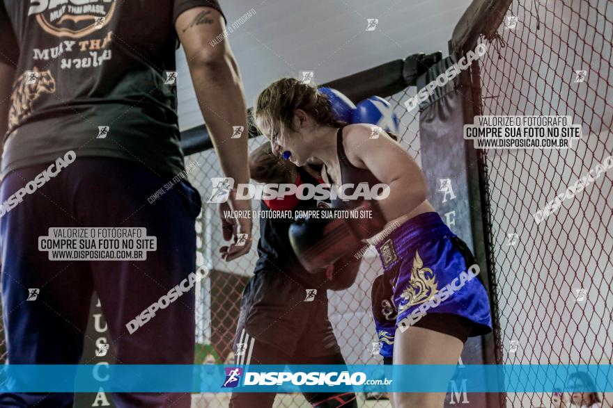 Maringá Fight Combat 65ª Edição