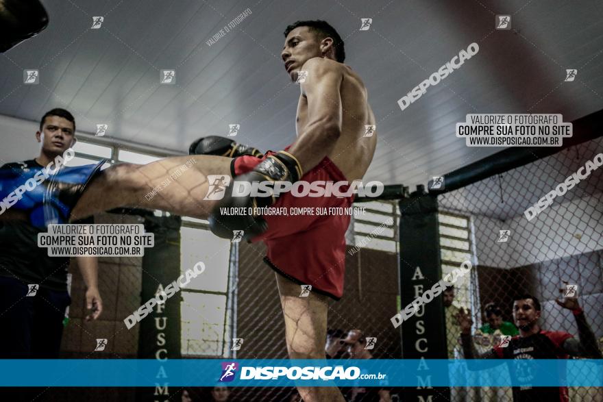 Maringá Fight Combat 65ª Edição