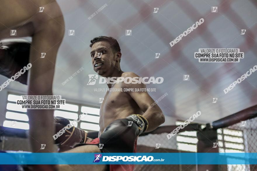 Maringá Fight Combat 65ª Edição