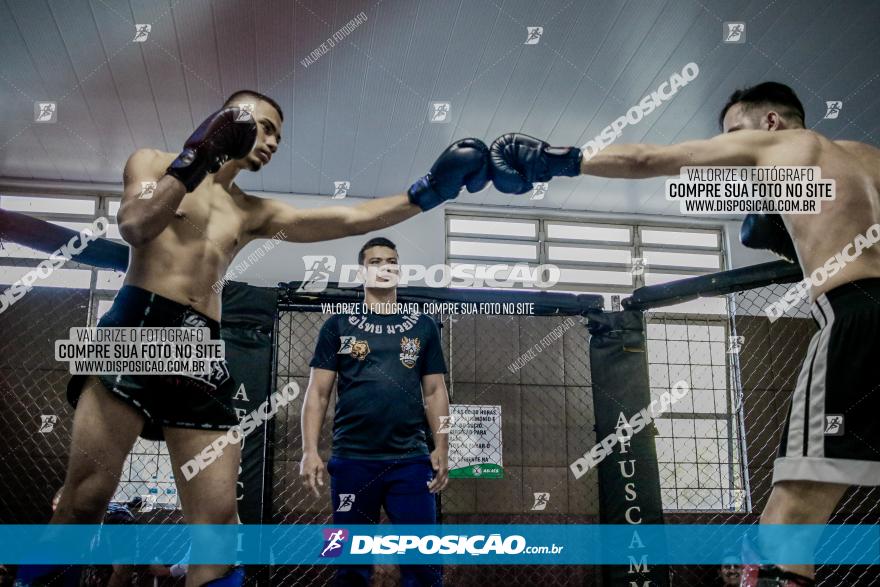 Maringá Fight Combat 65ª Edição