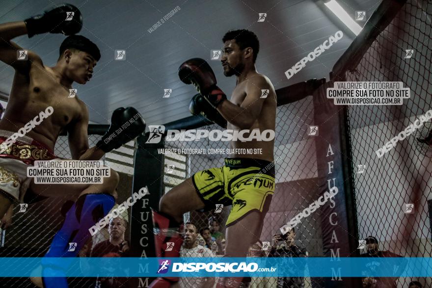 Maringá Fight Combat 65ª Edição