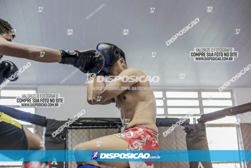 Maringá Fight Combat 65ª Edição