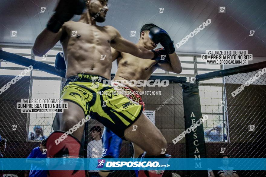 Maringá Fight Combat 65ª Edição