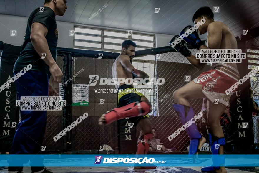 Maringá Fight Combat 65ª Edição