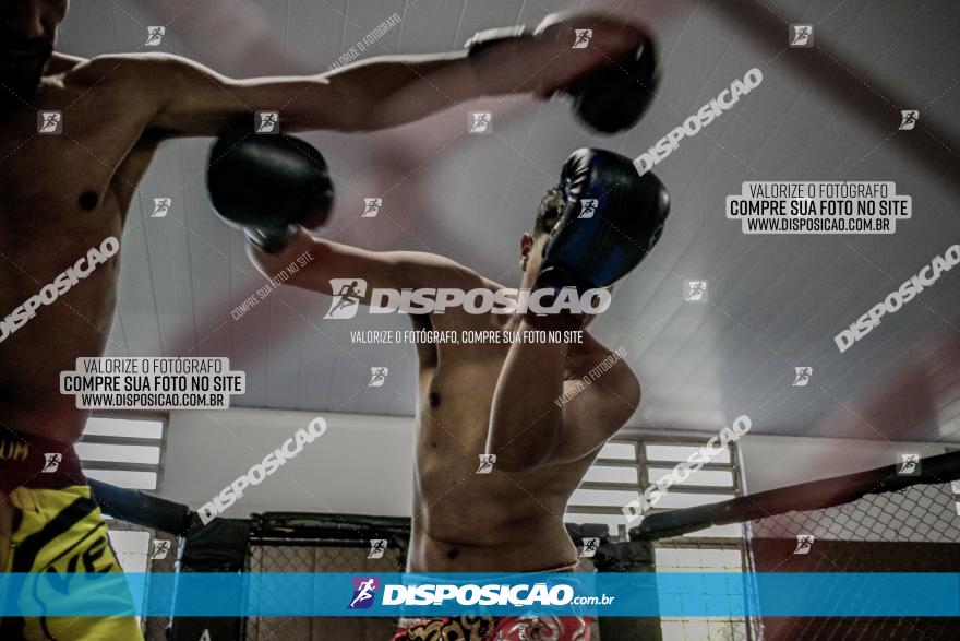 Maringá Fight Combat 65ª Edição