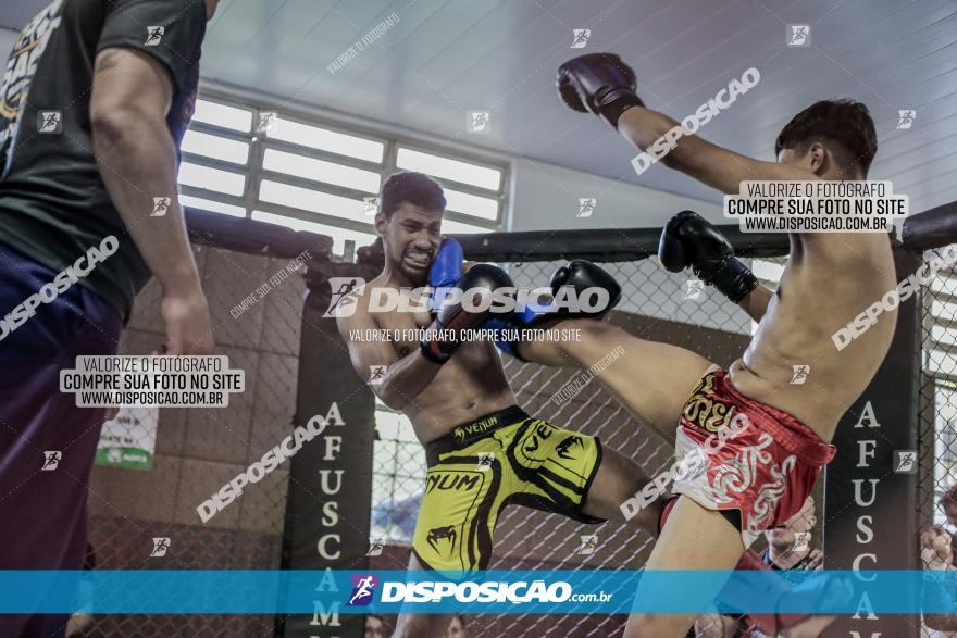 Maringá Fight Combat 65ª Edição