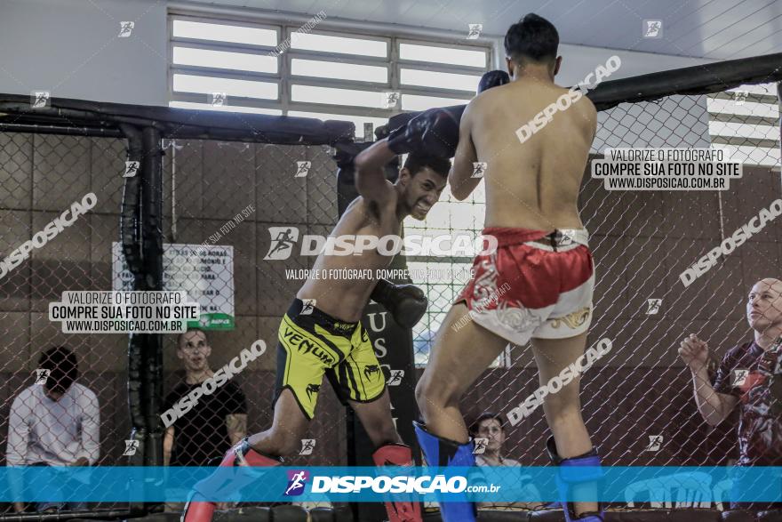 Maringá Fight Combat 65ª Edição