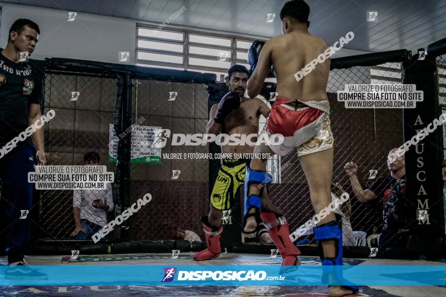 Maringá Fight Combat 65ª Edição