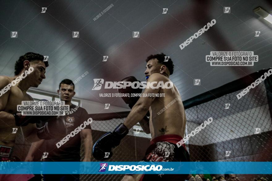 Maringá Fight Combat 65ª Edição