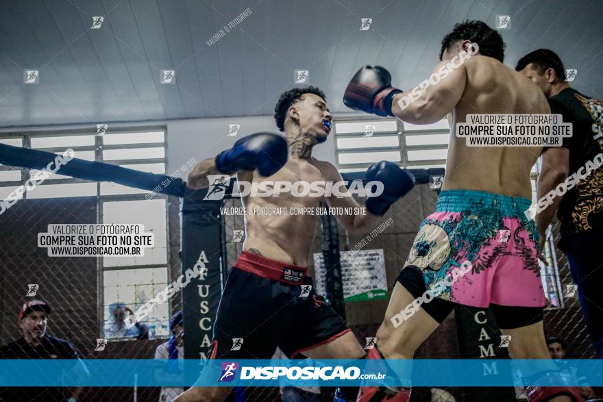 Maringá Fight Combat 65ª Edição