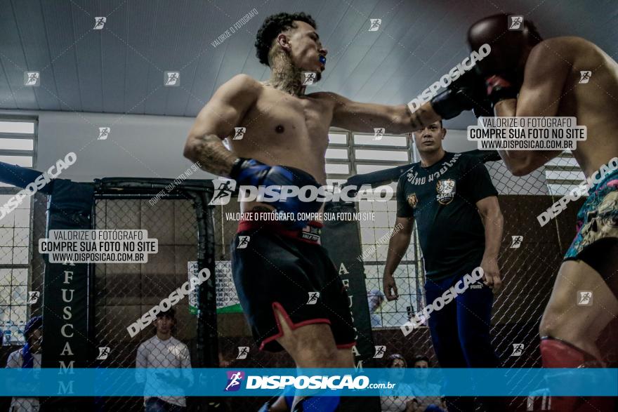 Maringá Fight Combat 65ª Edição