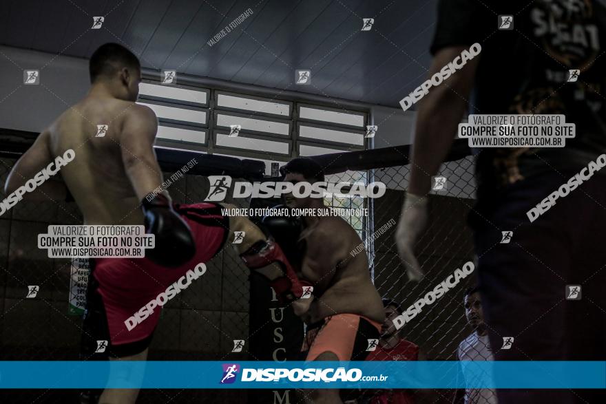 Maringá Fight Combat 65ª Edição