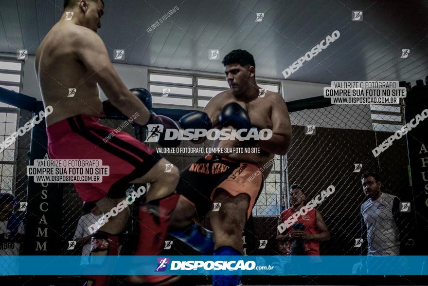 Maringá Fight Combat 65ª Edição