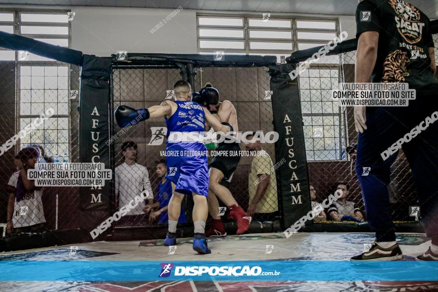 Maringá Fight Combat 65ª Edição