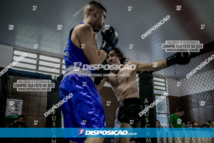 Maringá Fight Combat 65ª Edição