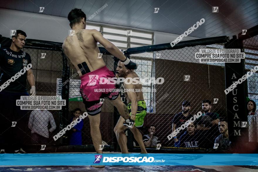 Maringá Fight Combat 65ª Edição