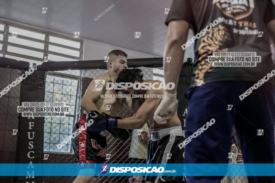 Maringá Fight Combat 65ª Edição