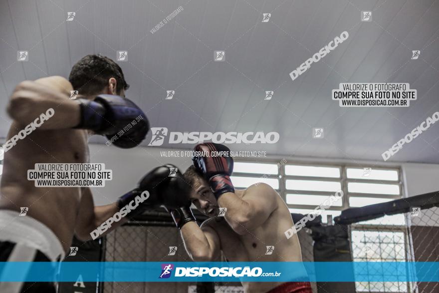 Maringá Fight Combat 65ª Edição