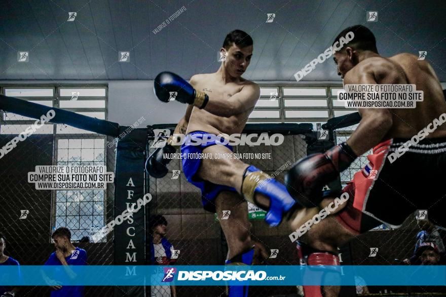 Maringá Fight Combat 65ª Edição