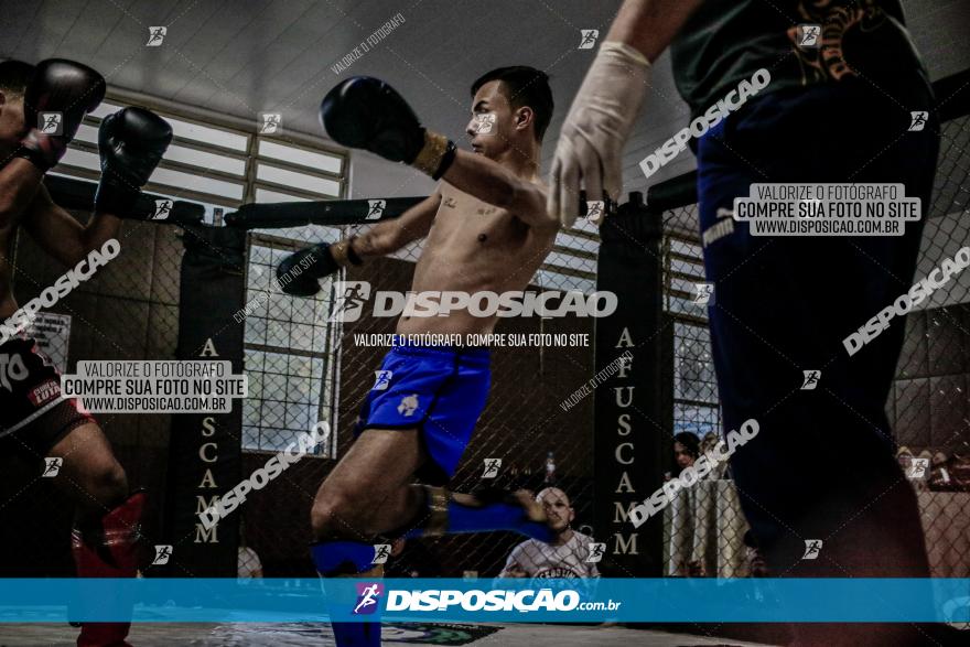 Maringá Fight Combat 65ª Edição