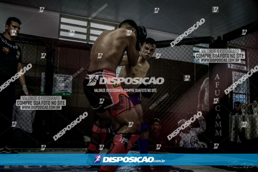 Maringá Fight Combat 65ª Edição