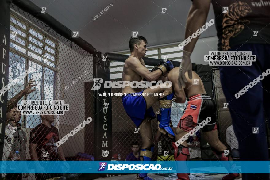 Maringá Fight Combat 65ª Edição