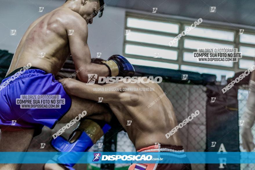 Maringá Fight Combat 65ª Edição