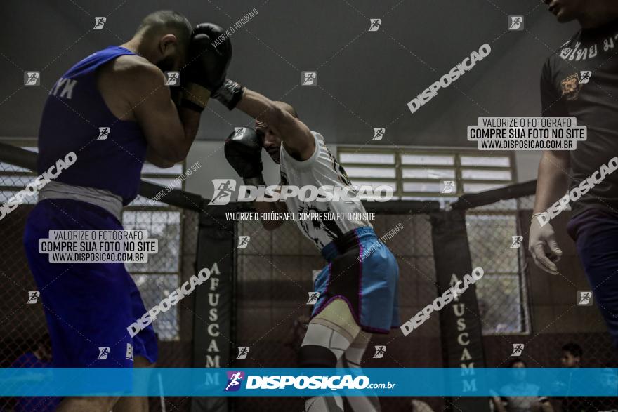 Maringá Fight Combat 65ª Edição