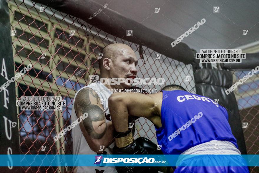 Maringá Fight Combat 65ª Edição