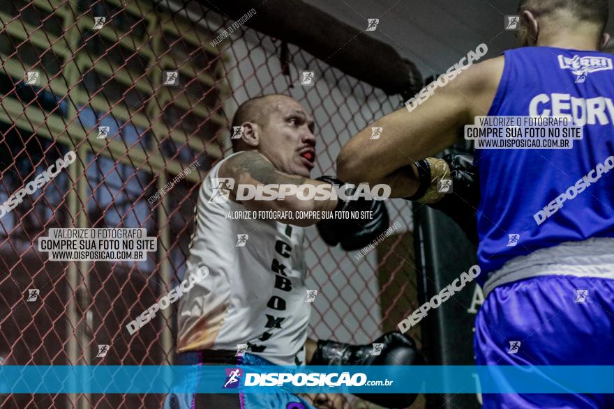 Maringá Fight Combat 65ª Edição