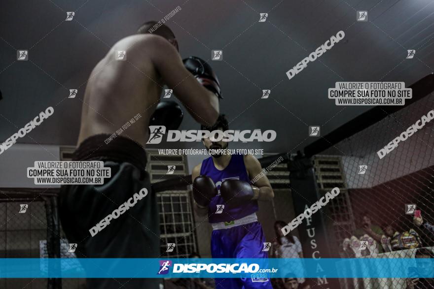 Maringá Fight Combat 65ª Edição