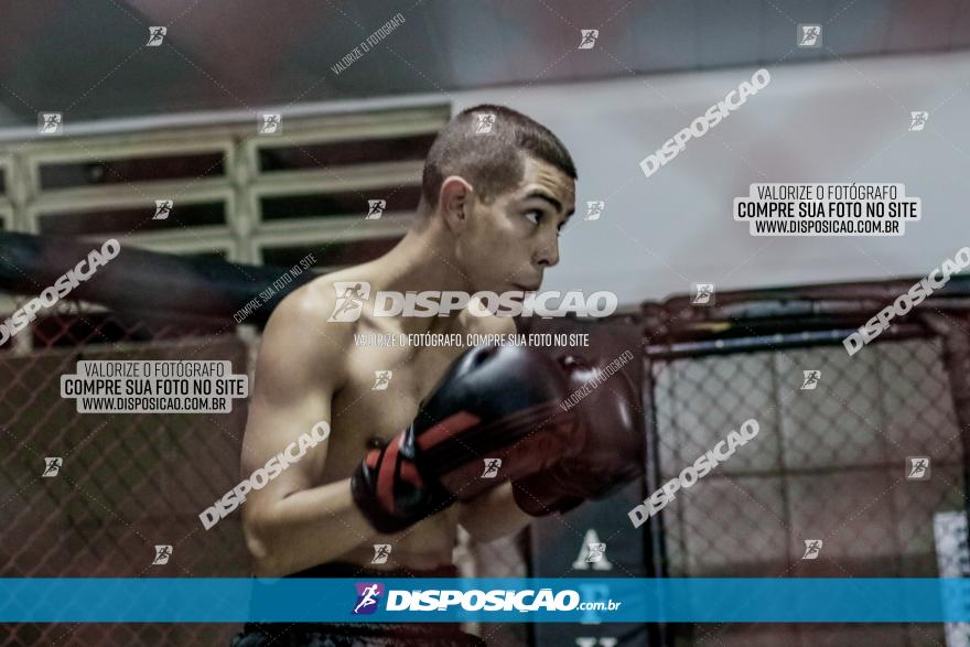 Maringá Fight Combat 65ª Edição