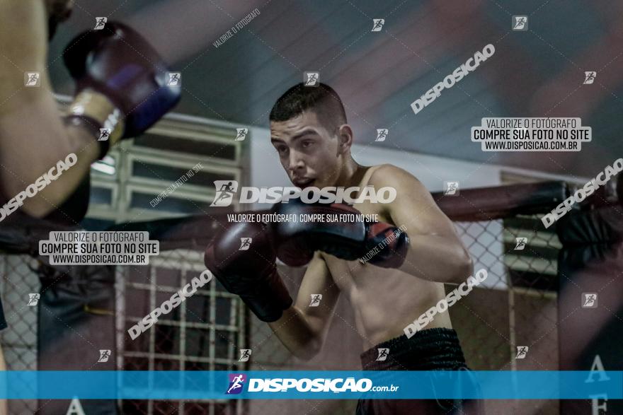 Maringá Fight Combat 65ª Edição