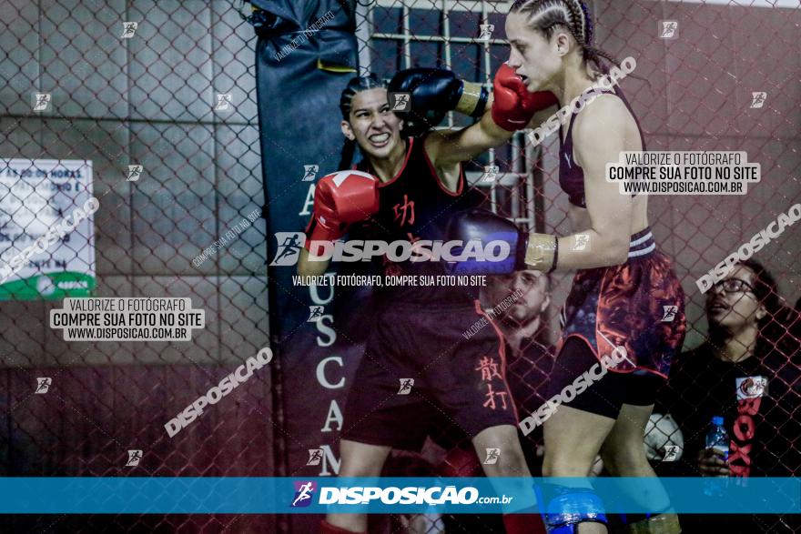 Maringá Fight Combat 65ª Edição