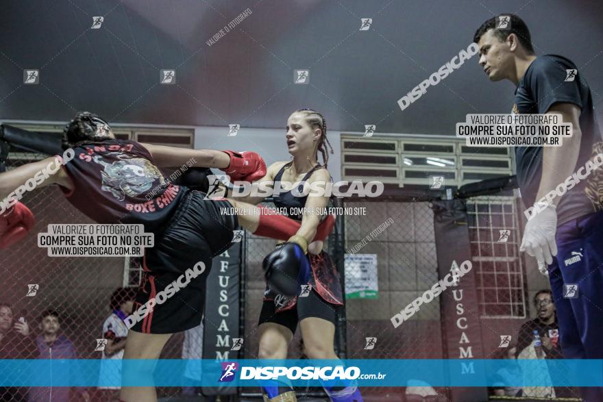 Maringá Fight Combat 65ª Edição