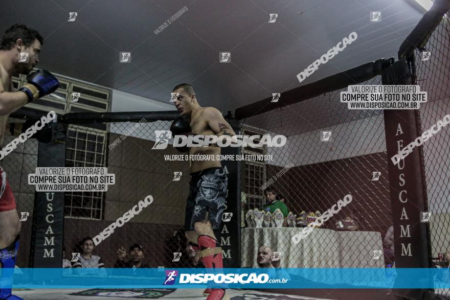 Maringá Fight Combat 65ª Edição