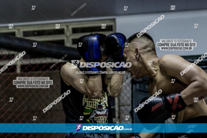 Maringá Fight Combat 65ª Edição