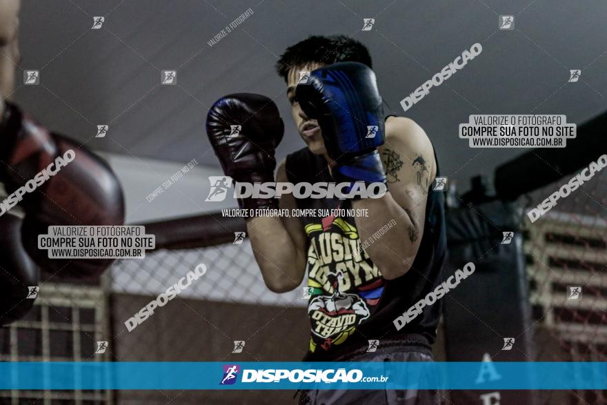 Maringá Fight Combat 65ª Edição