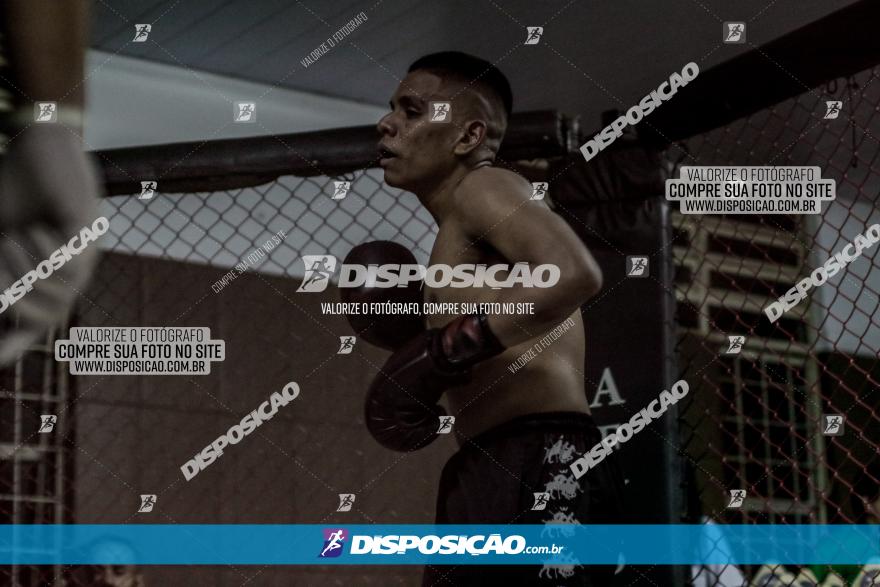 Maringá Fight Combat 65ª Edição