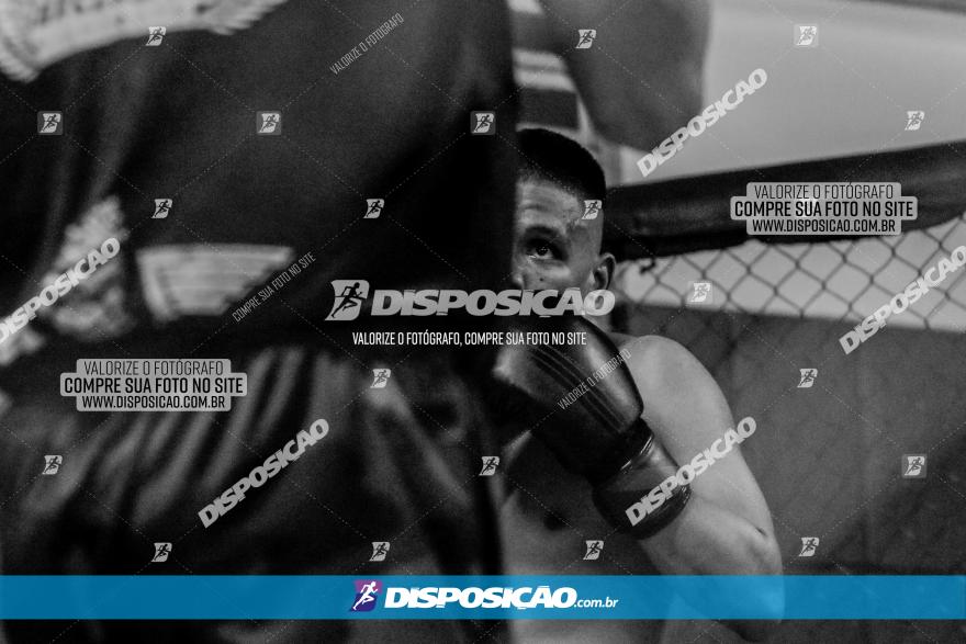 Maringá Fight Combat 65ª Edição