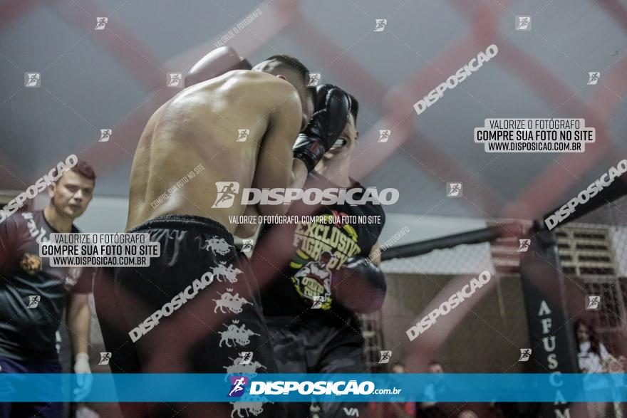 Maringá Fight Combat 65ª Edição