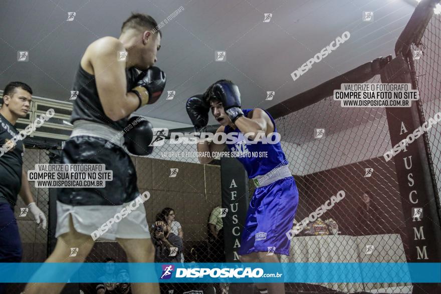 Maringá Fight Combat 65ª Edição