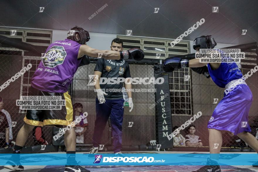 Maringá Fight Combat 65ª Edição