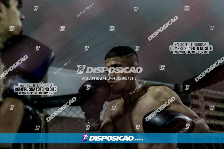 Maringá Fight Combat 65ª Edição