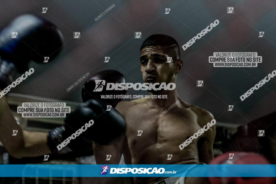 Maringá Fight Combat 65ª Edição