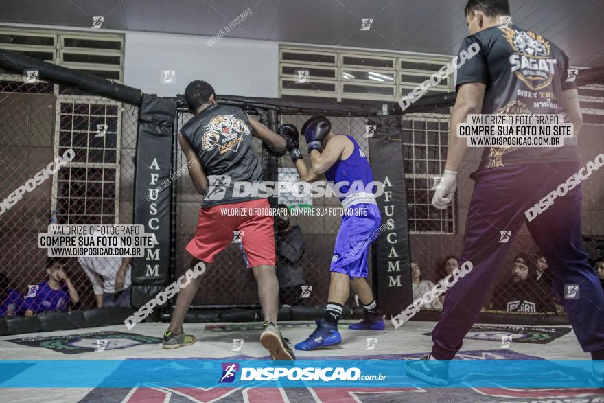 Maringá Fight Combat 65ª Edição