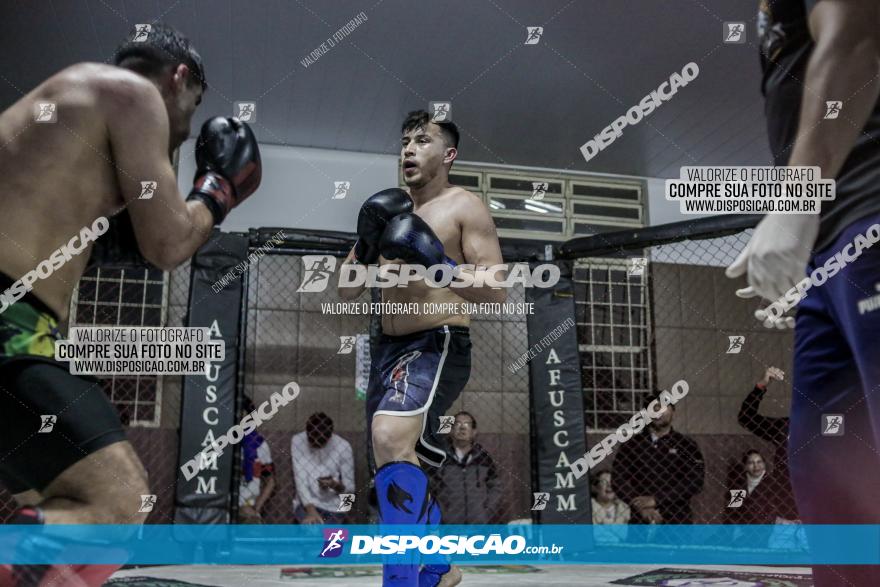 Maringá Fight Combat 65ª Edição