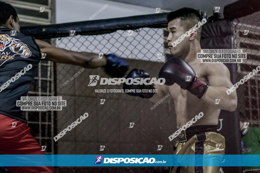 Maringá Fight Combat 65ª Edição