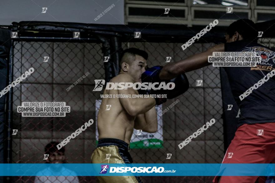 Maringá Fight Combat 65ª Edição