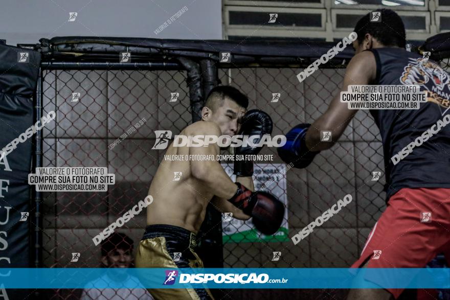 Maringá Fight Combat 65ª Edição